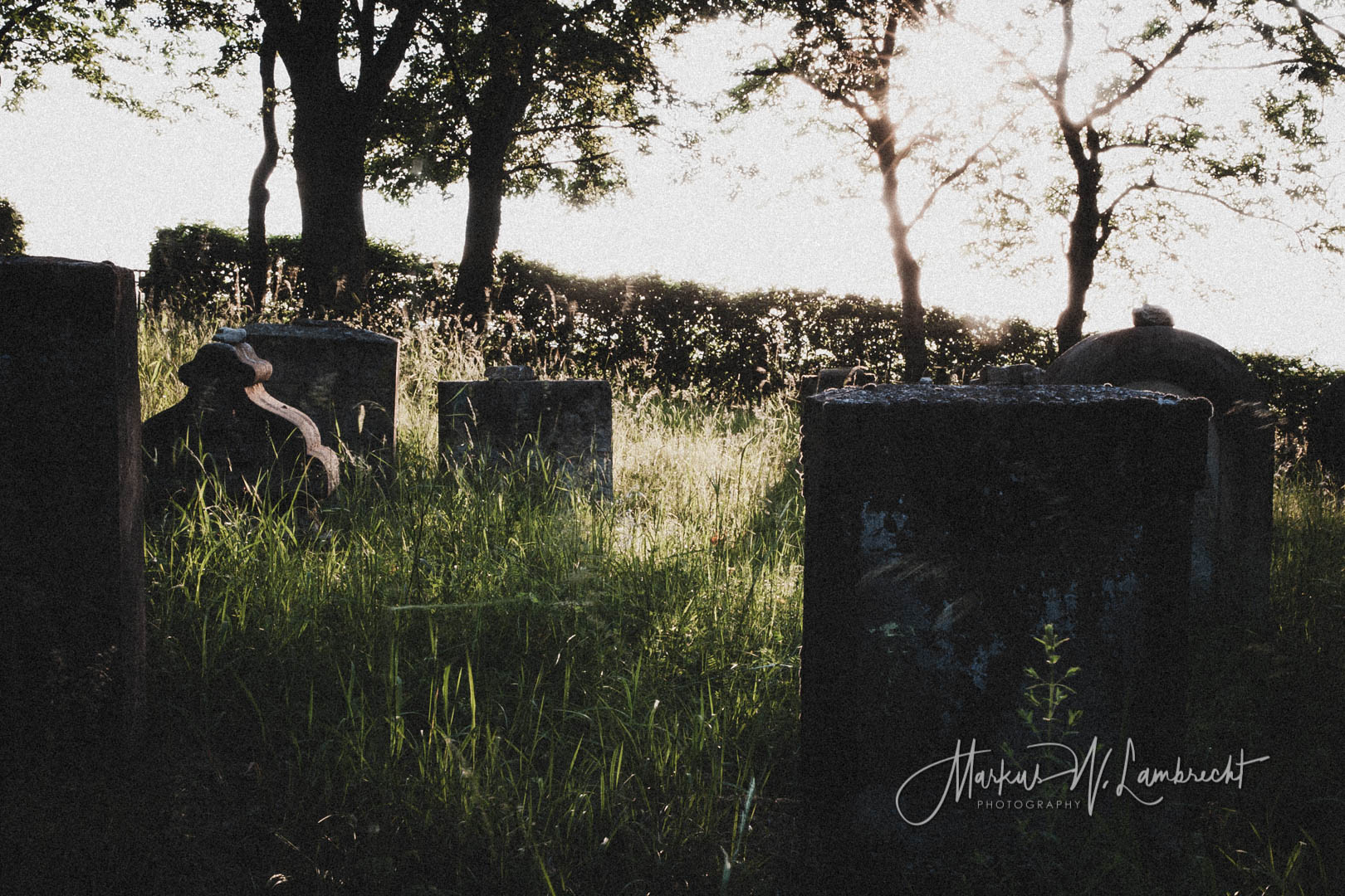 Wettesingen, Jüdischer Friedhof